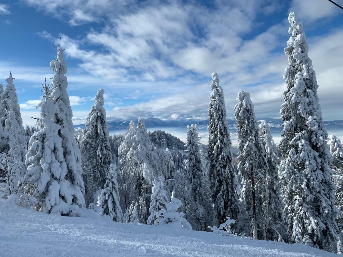 Silver Mountain Poiana Brasov Eksteriør billede