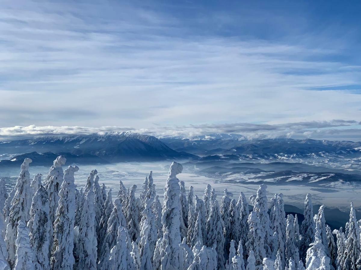 Silver Mountain Poiana Brasov Eksteriør billede