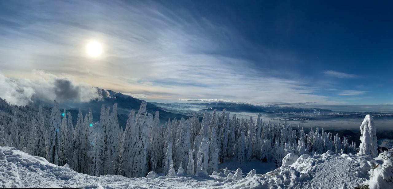 Silver Mountain Poiana Brasov Eksteriør billede